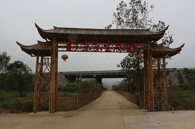 蔬菜基地